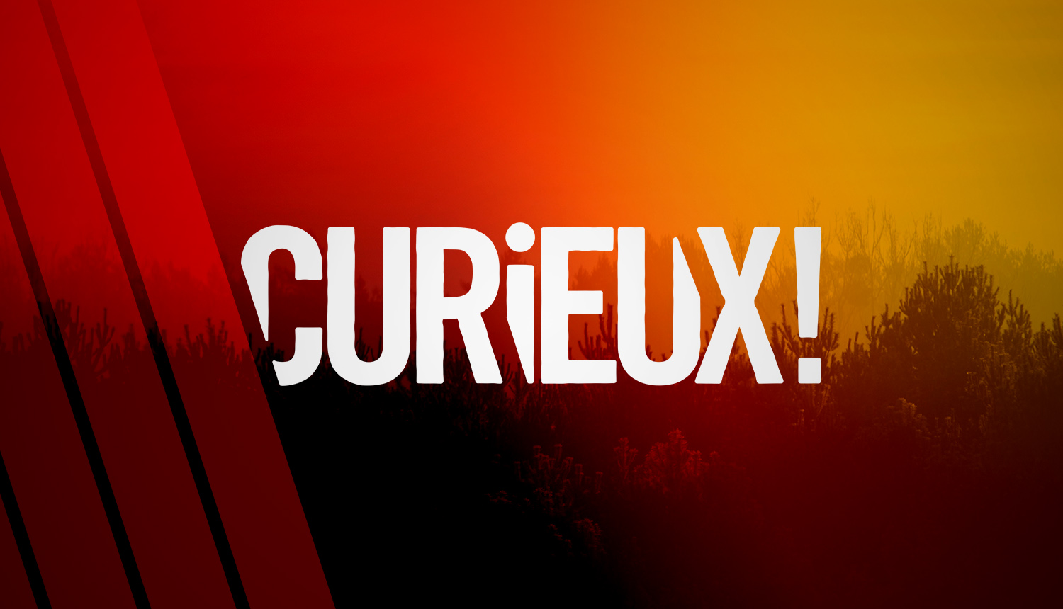 Curieux !